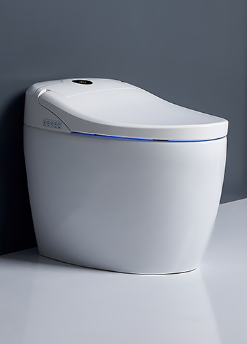 H307  智能马桶