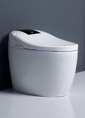H308  智能马桶